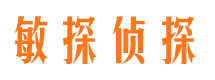 六合市侦探调查公司